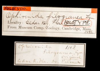 Media type: image;   Invertebrate Zoology OPH-1495 Aspect: labels